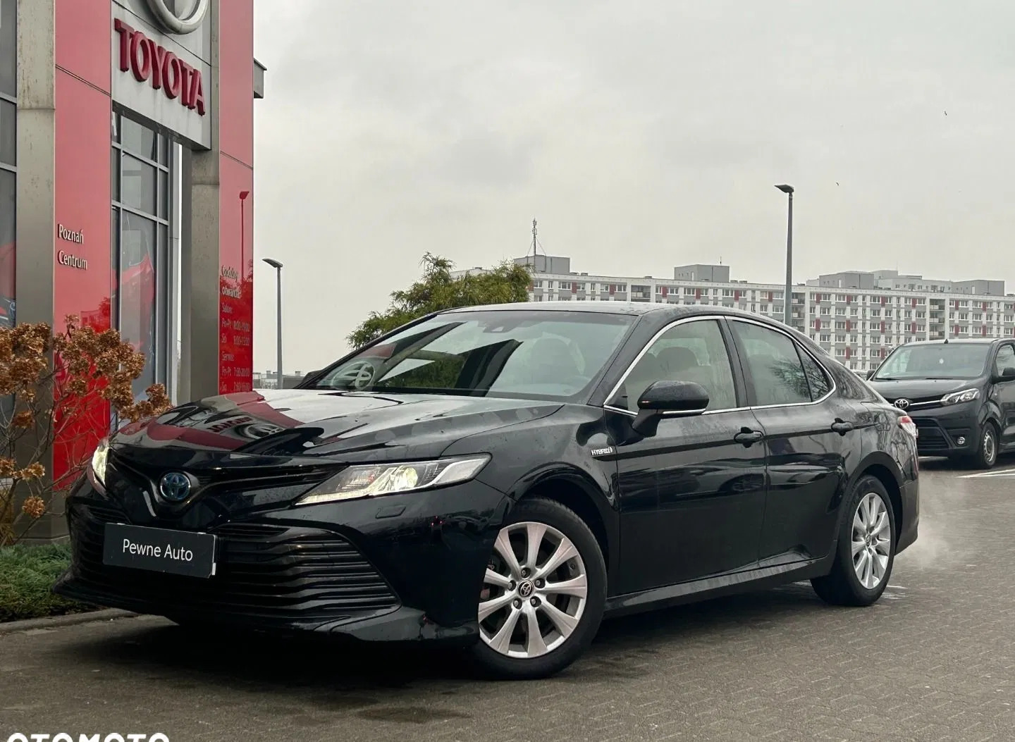 toyota Toyota Camry cena 109900 przebieg: 101341, rok produkcji 2020 z Poznań